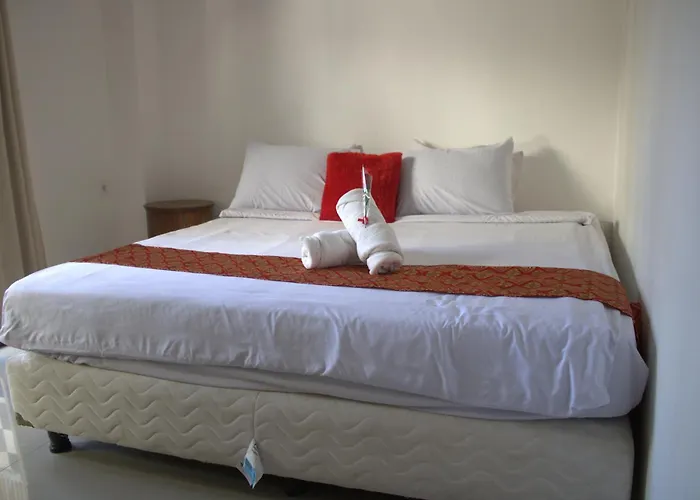 Joya House Hostal